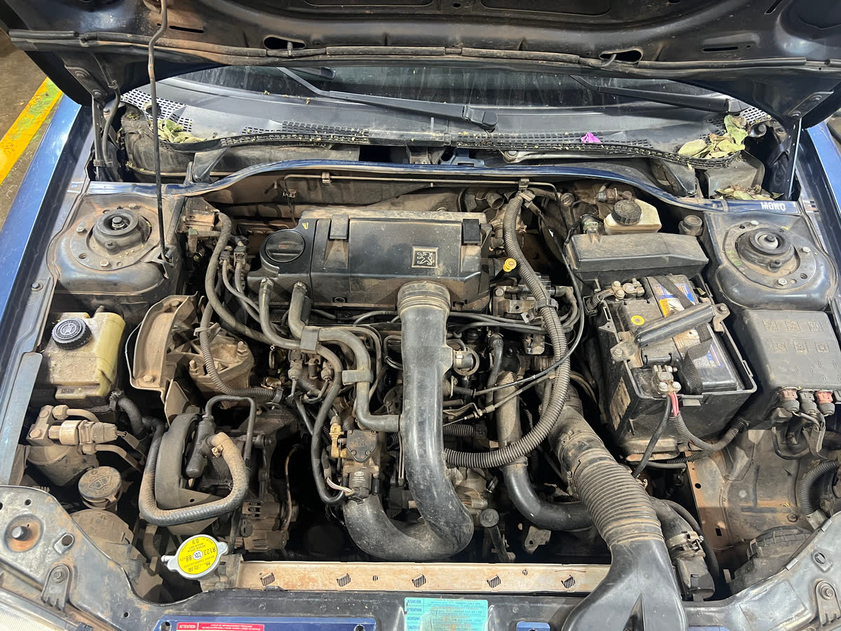 Motor antes del servicio de lavado con vapor EcoSteam